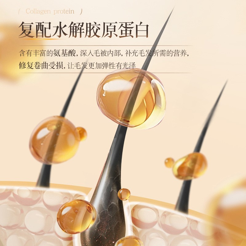 腊肠柯基吉娃娃杜宾短毛犬专用沐浴露oem 除异味猫狗沐浴露加工图3