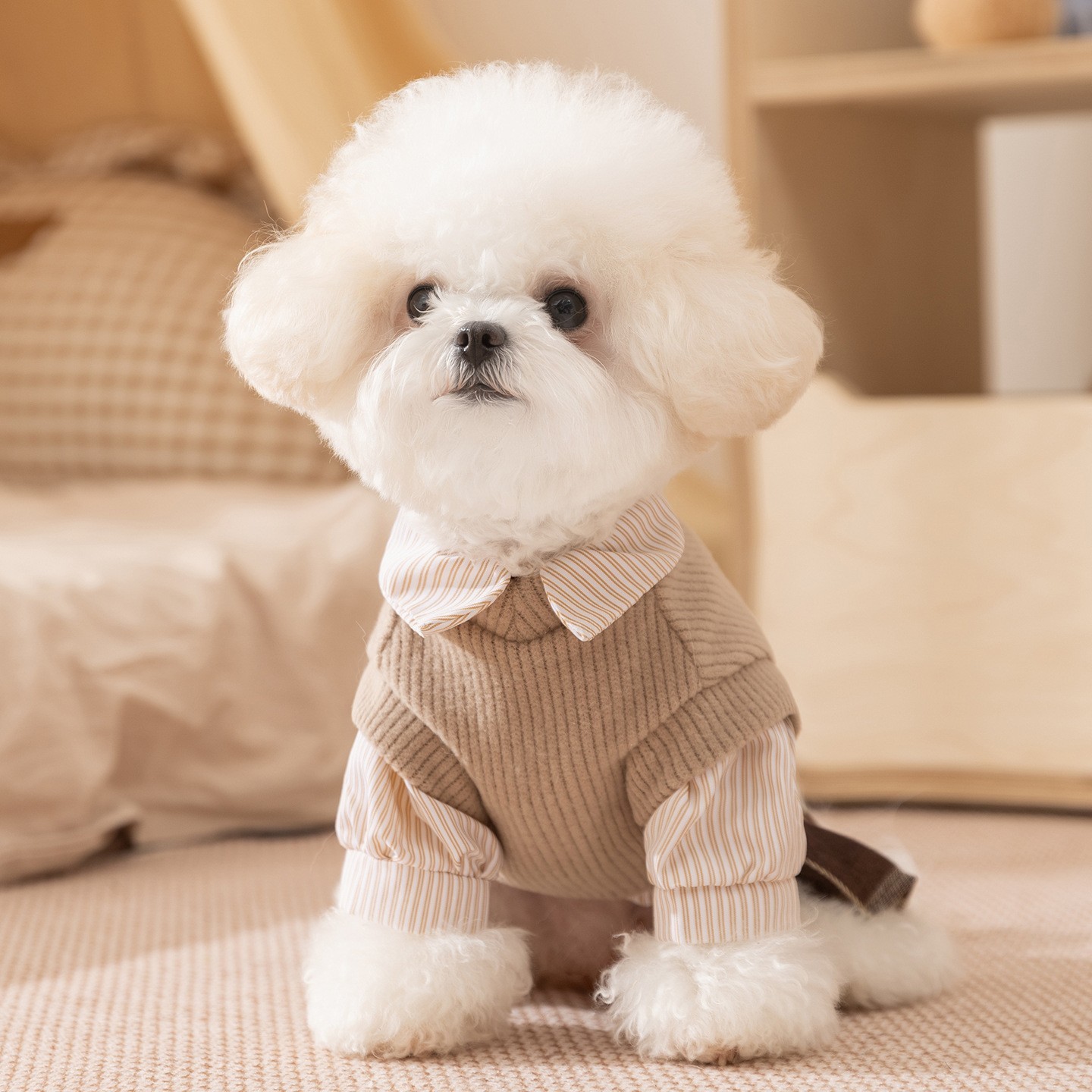 秋冬宠物衣服学院风小熊绣花情侣装两件套小型犬比熊泰迪狗狗衣服图4