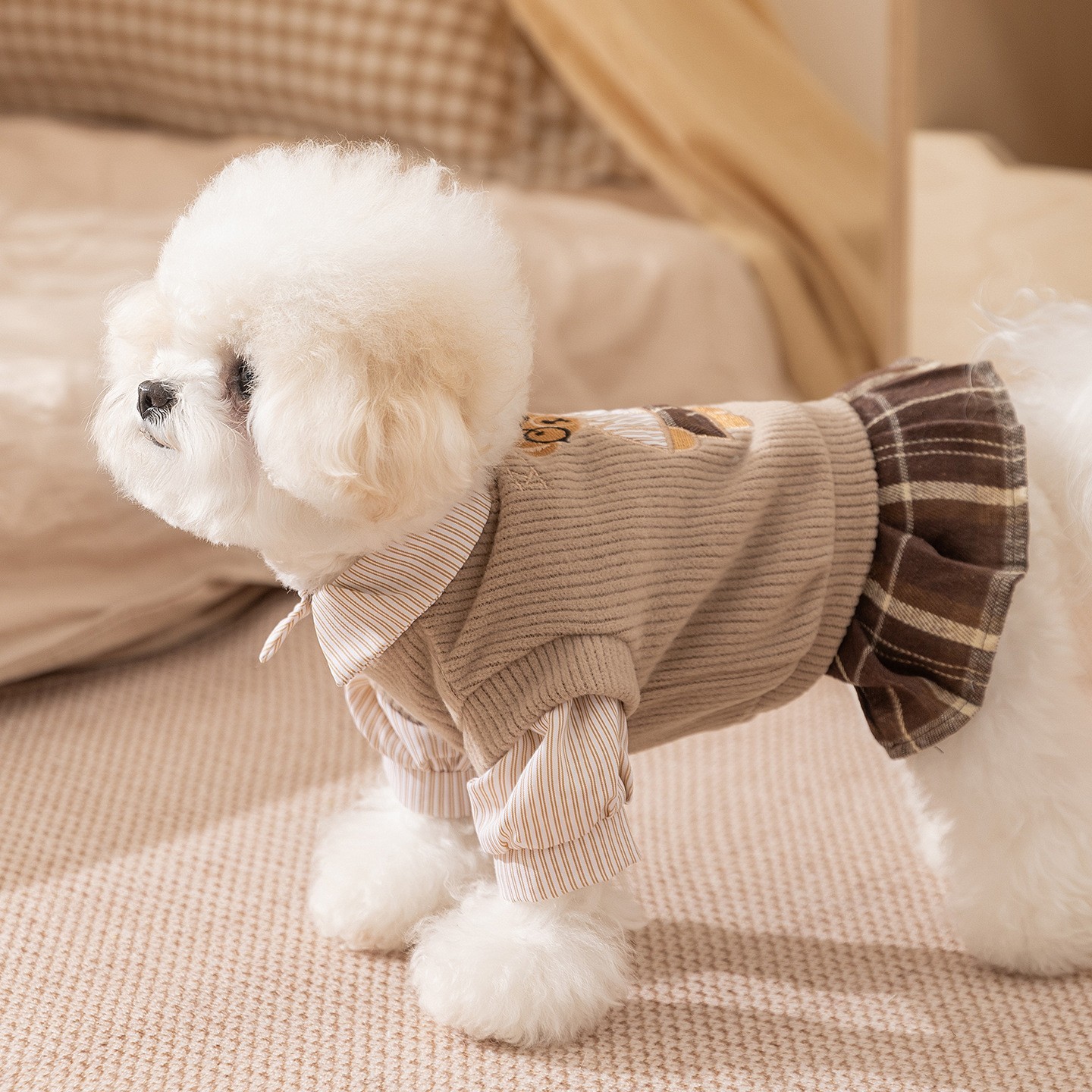 秋冬宠物衣服学院风小熊绣花情侣装两件套小型犬比熊泰迪狗狗衣服图5