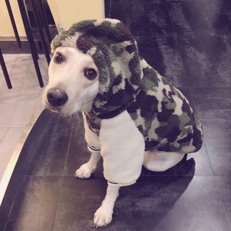 定制狗狗衣服冬季金毛中型大型犬拉布拉多阿拉斯加哈士奇宠物冬装图3
