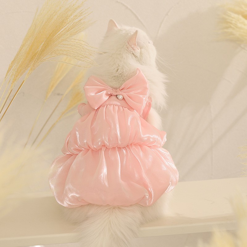 定制猫咪衣服防掉毛夏季薄款布偶猫蓝猫小猫宠物春秋可爱猫猫裙子图3