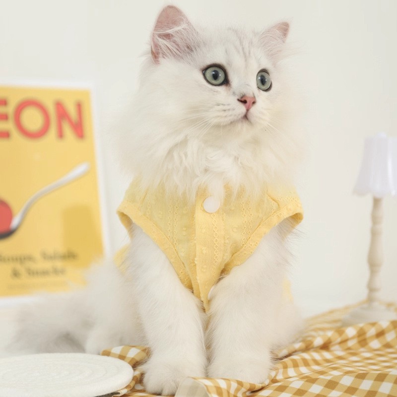 定制猫咪衣服防掉毛夏季薄款布偶猫蓝猫小猫宠物春秋可爱猫猫裙子图4