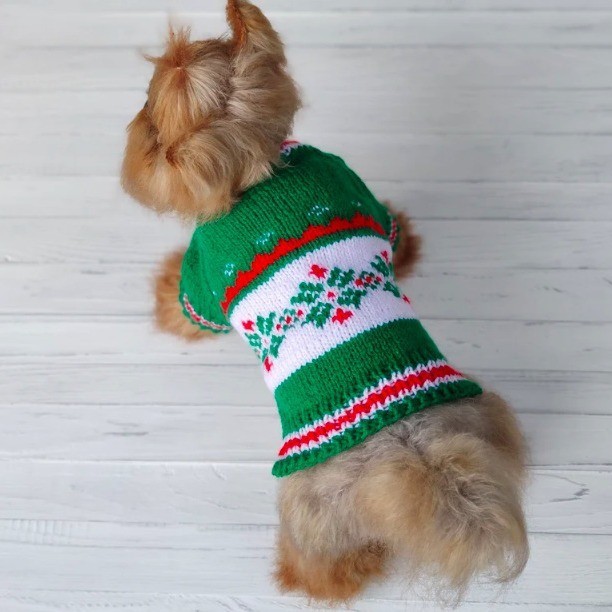 新款春秋宠物服饰绿野仙踪宠物衣服宠物毛衣可爱风狗狗衣服图3