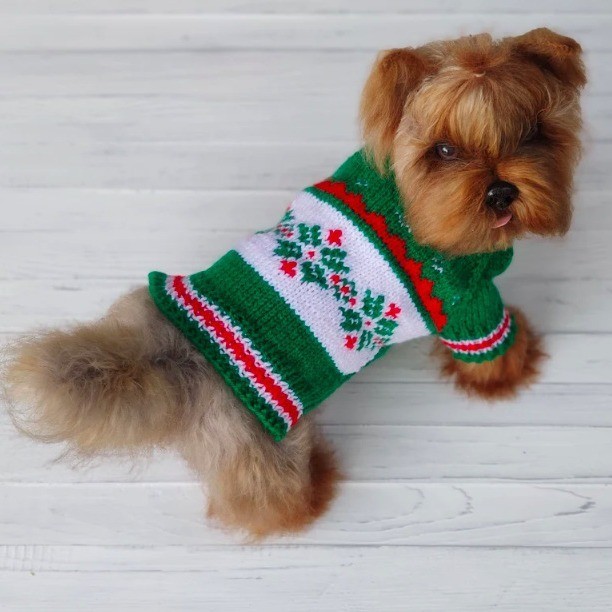 新款春秋宠物服饰绿野仙踪宠物衣服宠物毛衣可爱风狗狗衣服图2