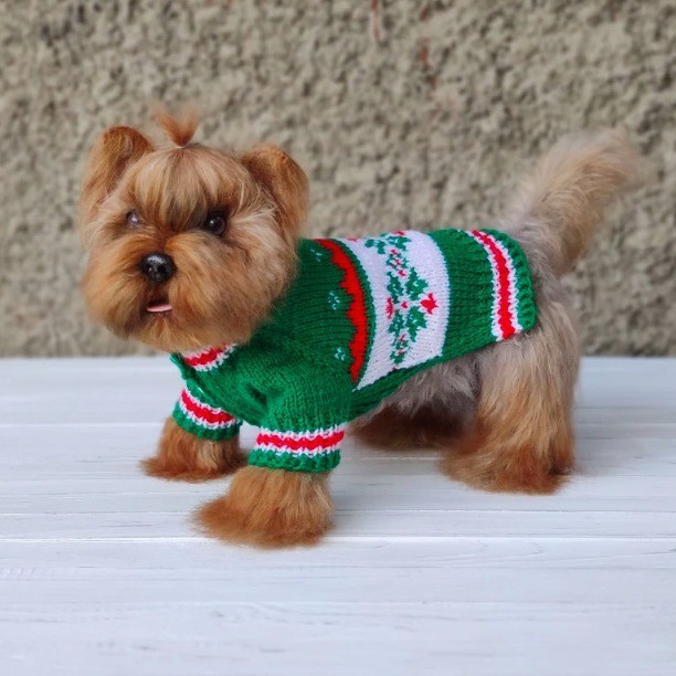 新款春秋宠物服饰绿野仙踪宠物衣服宠物毛衣可爱风狗狗衣服图4