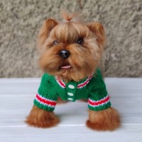 新款春秋宠物服饰绿野仙踪宠物衣服宠物毛衣可爱风狗狗衣服