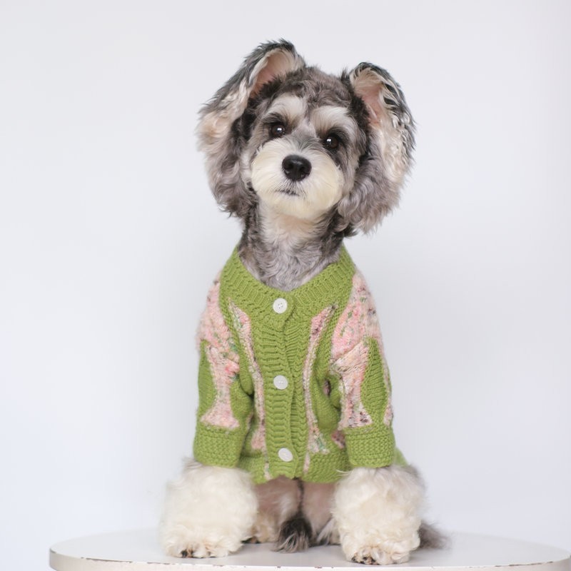 绿野仙踪宠物亲子款宠物衣服亲子装可爱风宠物狗狗T恤亲子装图3