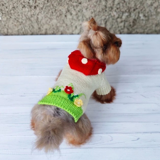 新款狗狗连帽衫狗狗衣服宠物毛衣宠物衣服宠物服饰时尚宠物服饰图4