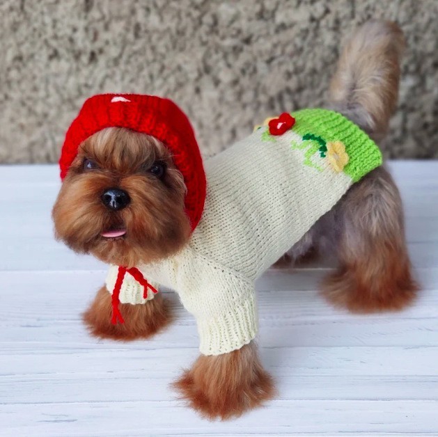 新款狗狗连帽衫狗狗衣服宠物毛衣宠物衣服宠物服饰时尚宠物服饰图3