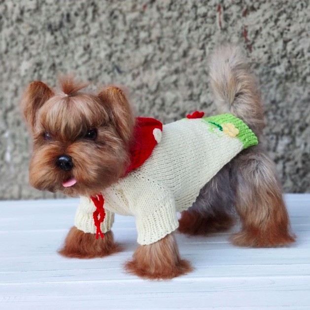 新款狗狗连帽衫狗狗衣服宠物毛衣宠物衣服宠物服饰时尚宠物服饰图2