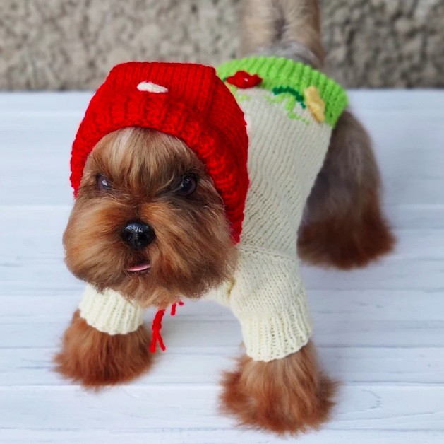 新款狗狗连帽衫狗狗衣服宠物毛衣宠物衣服宠物服饰时尚宠物服饰图5