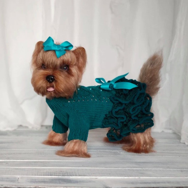 宠物外套春秋针织棉休闲可爱风宠物马甲猫咪小型犬衣服宠物服饰图2