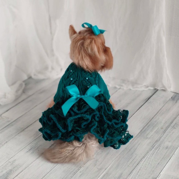 宠物外套春秋针织棉休闲可爱风宠物马甲猫咪小型犬衣服宠物服饰图3