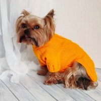 狗狗外套春秋针织棉休闲可爱风宠物服饰小型宠物服饰可定制