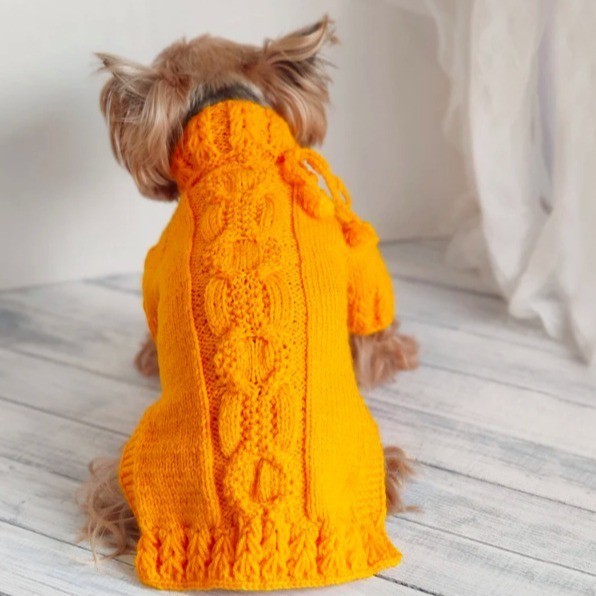 狗狗外套春秋针织棉休闲可爱风宠物服饰小型宠物服饰可定制图4