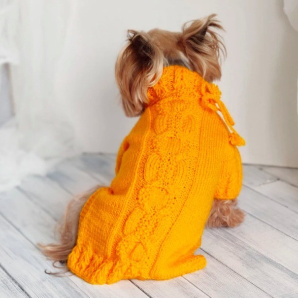 狗狗外套春秋针织棉休闲可爱风宠物服饰小型宠物服饰可定制图3