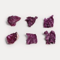 冻干工厂oem obm定制私聊宠物冻干蔬菜猫零食狗零食专业代工