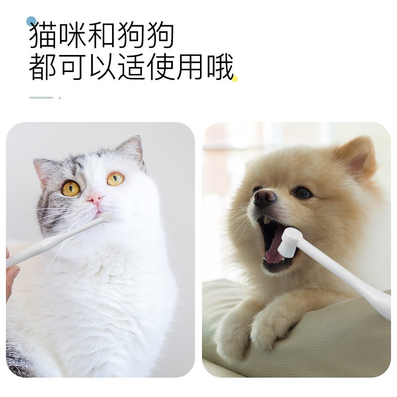 新品宠物牙刷狗狗牙刷 猫咪狗牙刷口腔清洁万根毛牙刷 宠物用品图5