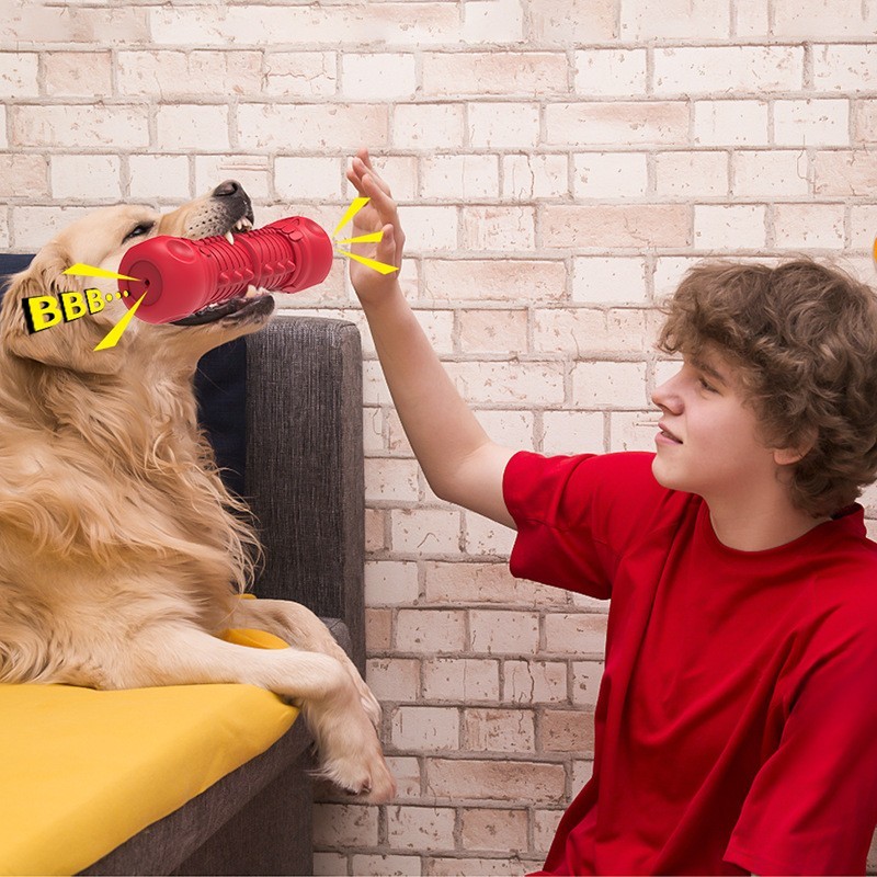 定制宠物用品骷髅发声骨头磨牙棒耐咬仿真骷髅狗牙刷狗玩具图3