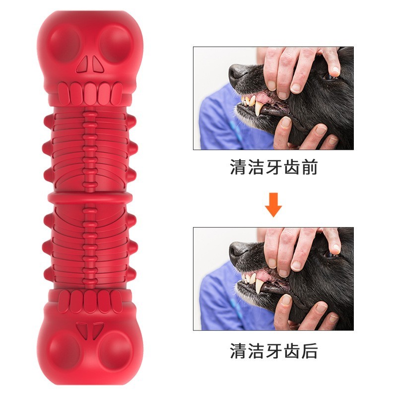定制宠物用品骷髅发声骨头磨牙棒耐咬仿真骷髅狗牙刷狗玩具图2