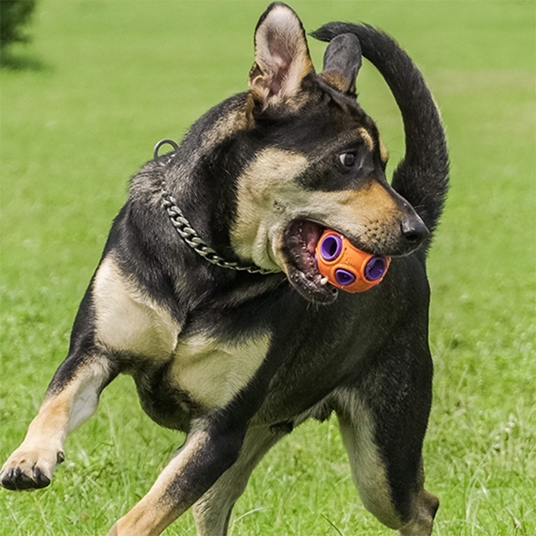 外贸新品宠物玩具球发声漏食球狗狗磨牙训练耐咬逗猫玩具解闷玩具图4