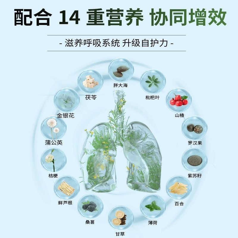 石斛饮品加工定制发酵饮口服液铁皮石斛草本原浆瓶装植物饮料代工图4