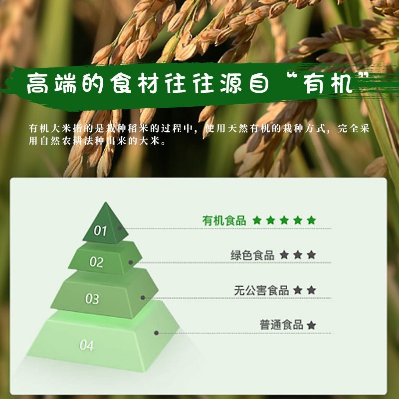 米粉婴幼儿牛肉蔬菜米糊10个月宝宝有机辅食盒装强化大米图5