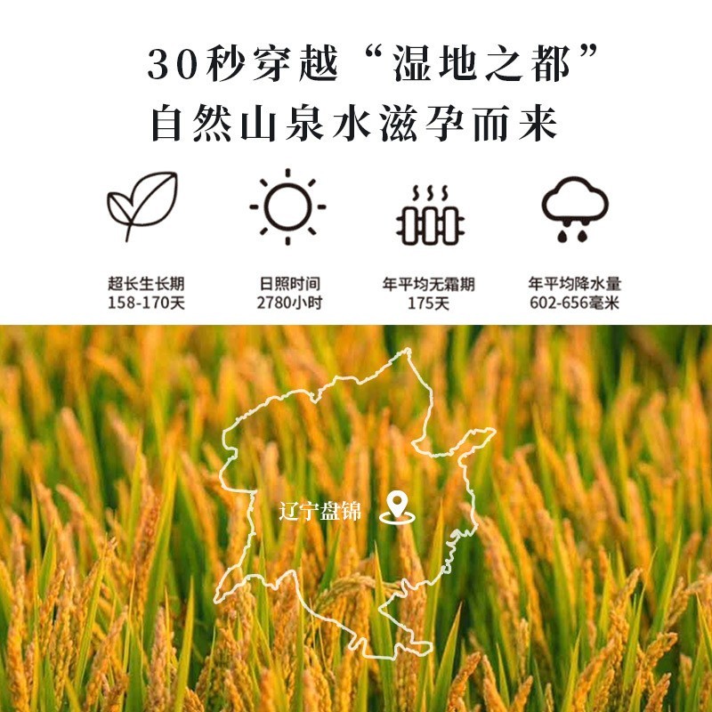 婴儿营养米粉OEM高钙高锌高铁有机米乳宝宝辅食食品图2