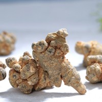 云南文山田七粉三七花20头产地货源皂苷三七片可磨粉500g