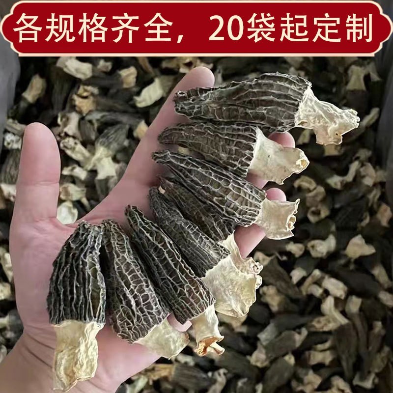 高原羊肚菌菌类干货云南特产头茬2025新货