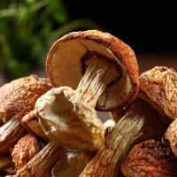 2025新货云南姬松茸巴西菇特产食用菇食用菌干货