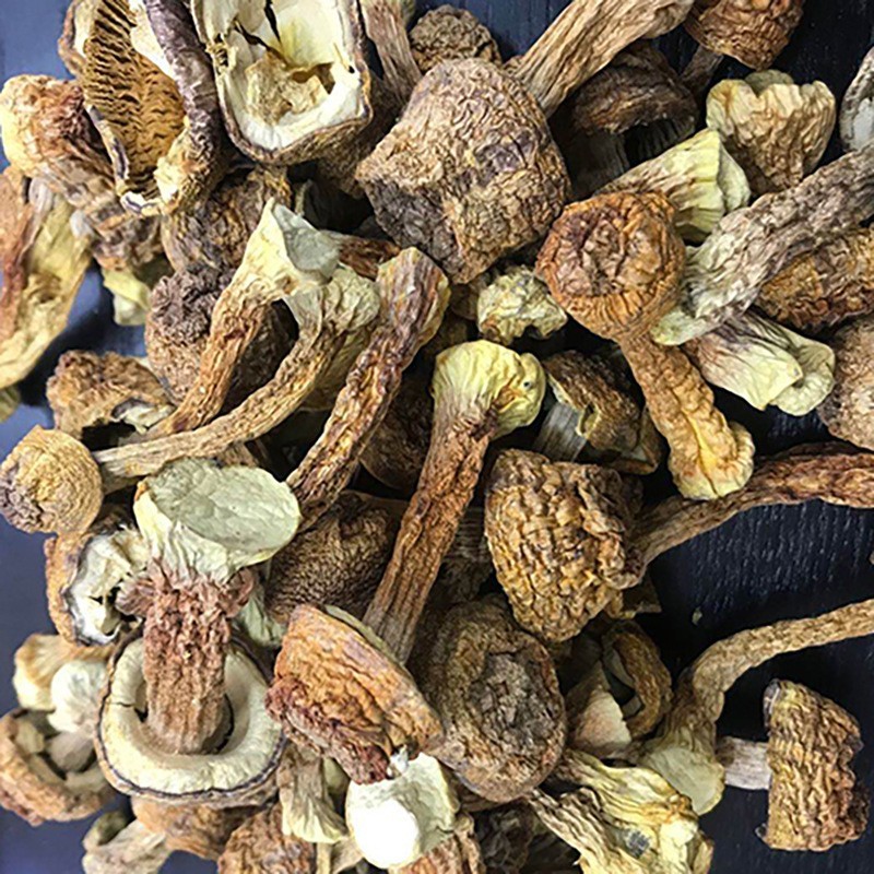 2025新货云南姬松茸巴西菇特产食用菇食用菌干货图2