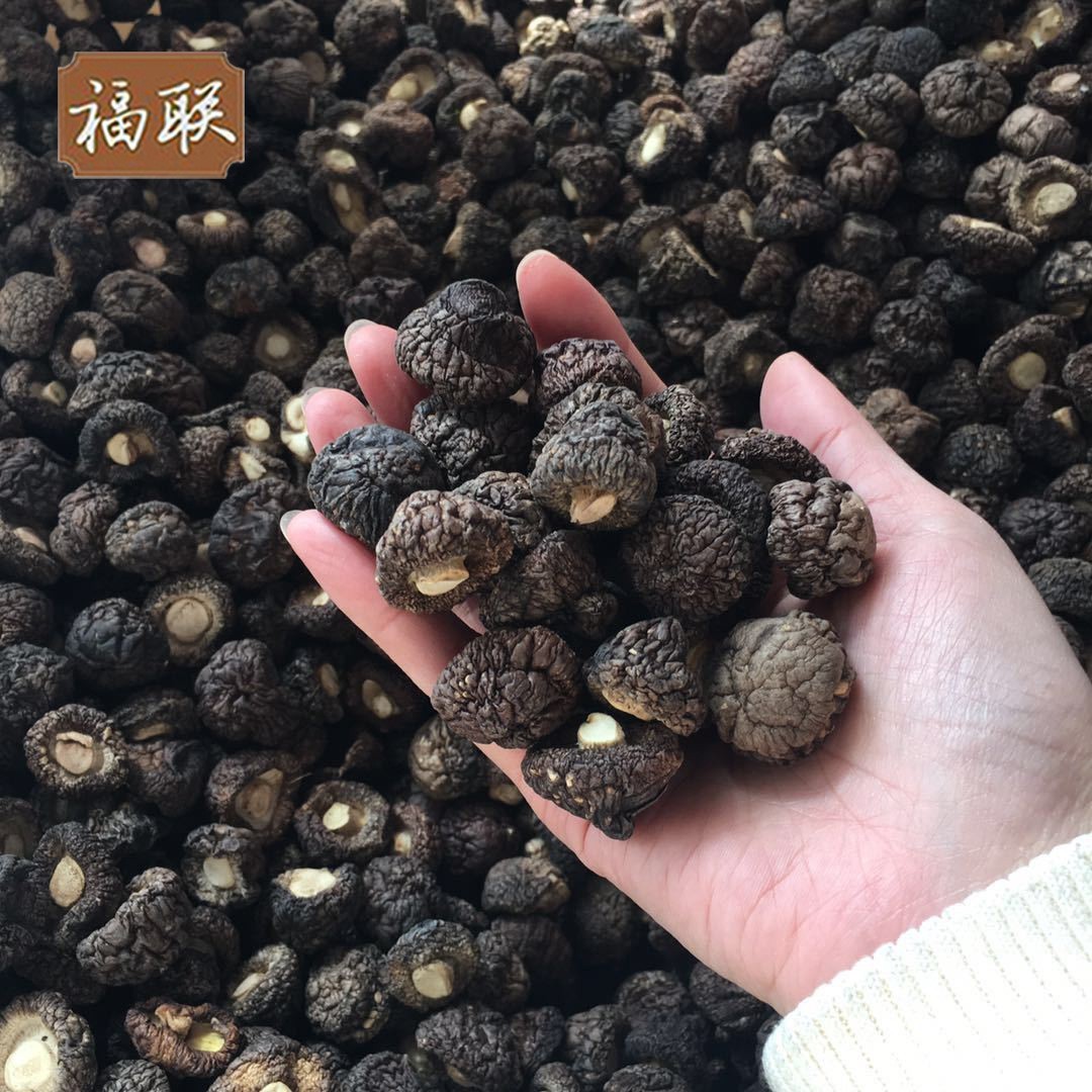 新货金钱菇 珍珠菇 香菇 1.5-2cm小香菇 250克 古田 干货礼品年货图3