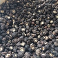 新货金钱菇 珍珠菇 香菇 1.5-2cm小香菇 250克 古田 干货礼品年货