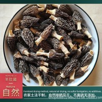 工厂小个头羊肚菌干货餐饮生鲜0.6~0.8克通货羊肚菌大货