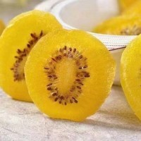 加工黄绿猕猴桃干黄心奇异果干果脯奇异果干无糖