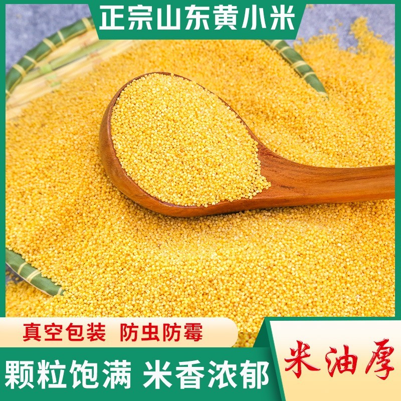 山东黄小米500g农家新米五谷杂粮特产健康米厂家图4