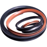 可定制VA/VD氟胶水封密封圈耐高温耐油机械工业专用厂家直供品质