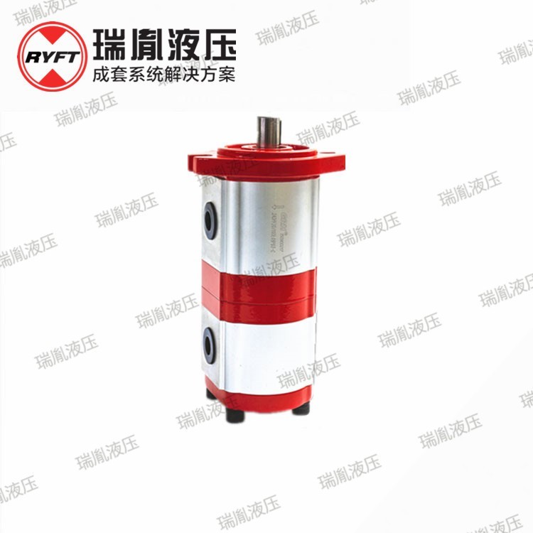 定制齿轮泵液压油泵 液压双联齿轮泵 农机泵油压齿轮泵图3