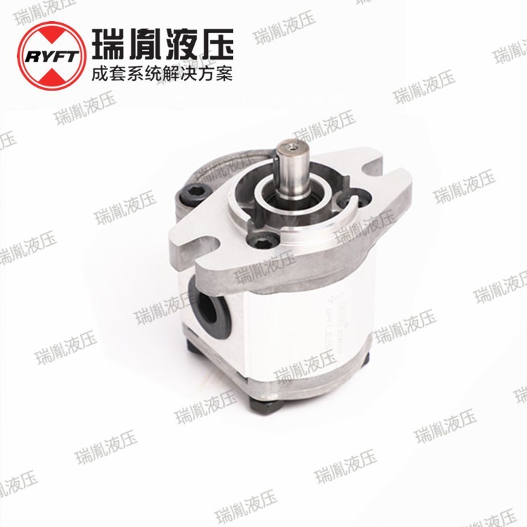 可定制外啮合齿轮泵微型齿轮泵不锈钢齿轮泵耐磨损低噪音齿轮泵图3