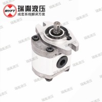 可定制外啮合齿轮泵微型齿轮泵不锈钢齿轮泵耐磨损低噪音齿轮泵