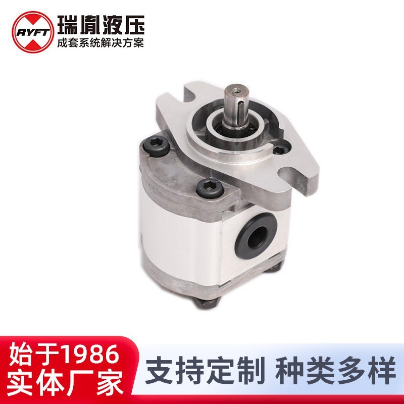 可定制外啮合齿轮泵微型齿轮泵不锈钢齿轮泵耐磨损低噪音齿轮泵图4