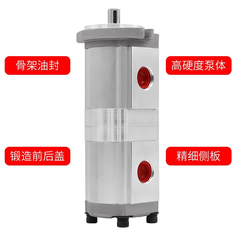 液压机床高压齿轮泵 双联齿轮泵HGP-33A 液压齿轮油泵图4