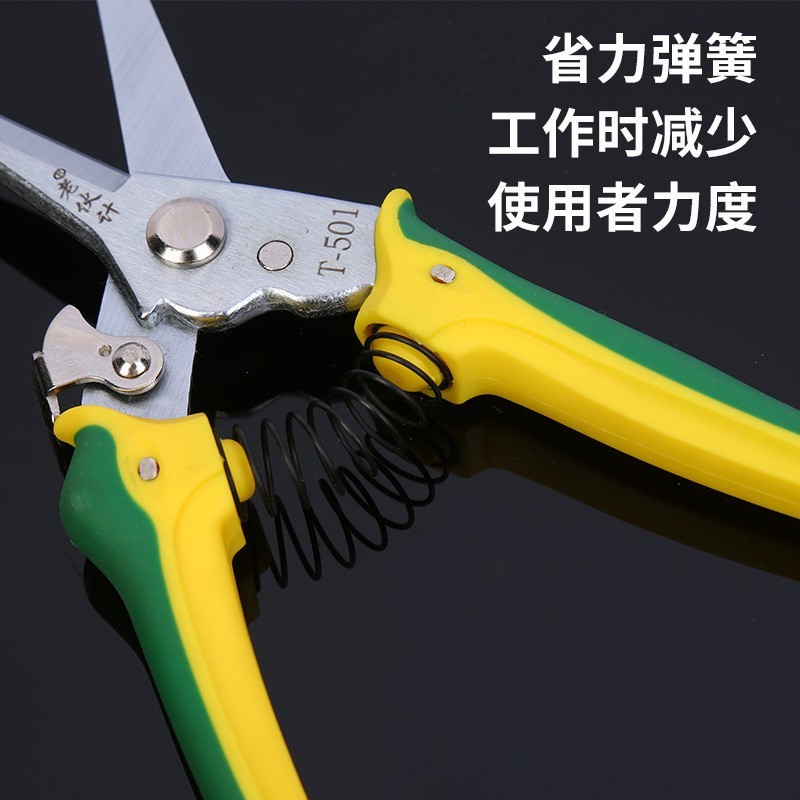 修枝剪 稀果剪 精品稀果剪采摘剪刀 园艺花枝剪图2