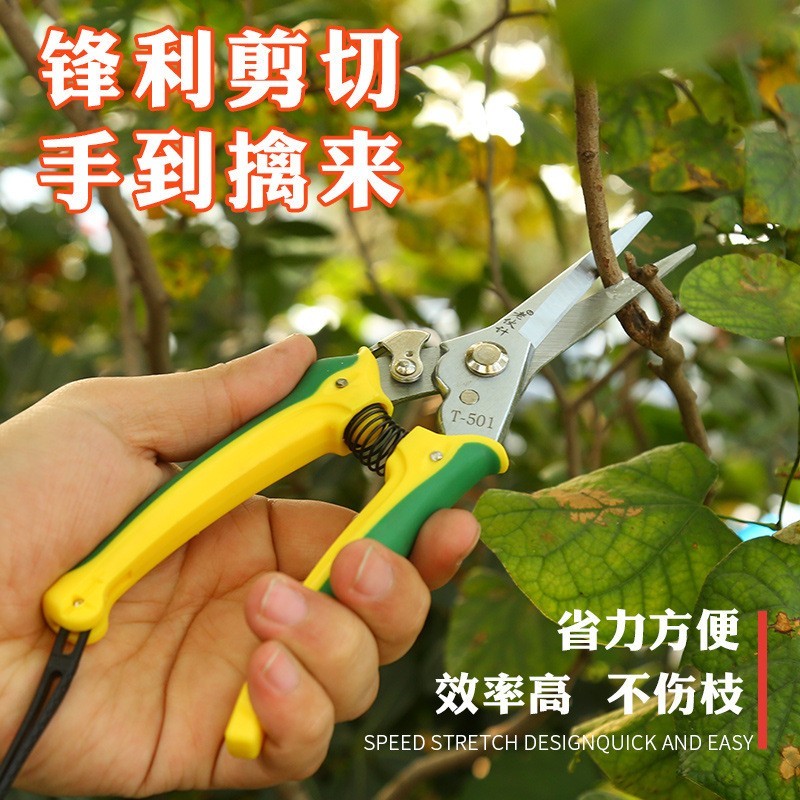 修枝剪 稀果剪 精品稀果剪采摘剪刀 园艺花枝剪图3