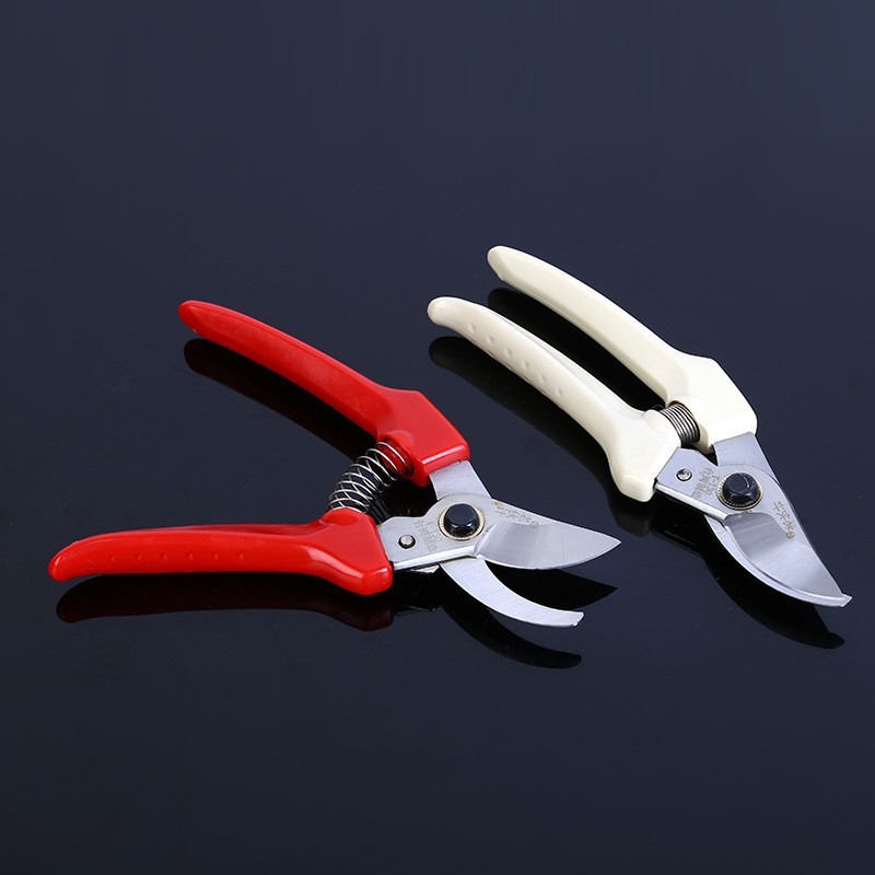 果枝剪130款白把园艺修枝剪园艺小手剪园林工具图3