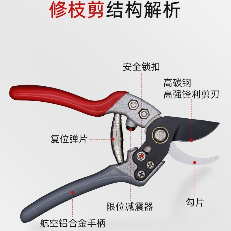 不锈钢修枝剪园林剪花园剪省力修枝剪园艺剪果树修枝剪定制图3