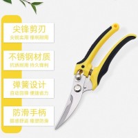 修枝剪园艺剪刀修枝果树剪强力果树粗枝剪刀家用省力园林工具
