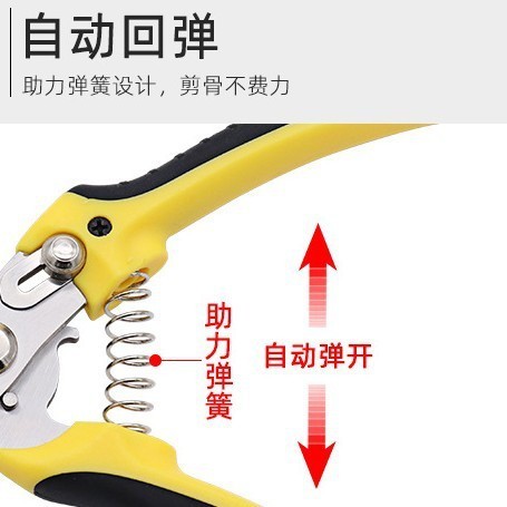 修枝剪园艺剪刀修枝果树剪强力果树粗枝剪刀家用省力园林工具图3