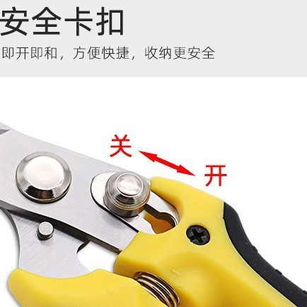 修枝剪园艺剪刀修枝果树剪强力果树粗枝剪刀家用省力园林工具图2